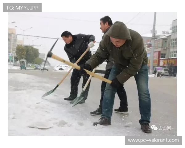案例研究：汉堡主场除雪行动的组织与管理效率